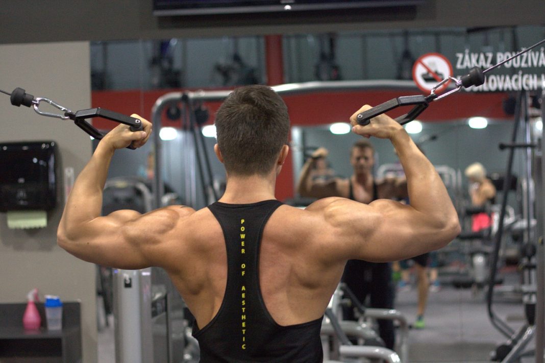 The Reinforcement Back Gym Fitness Exercise Man