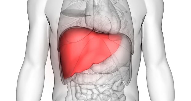 liver health Tips for a Healthy Liver