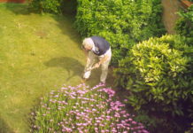 Gardening