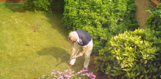 Gardening
