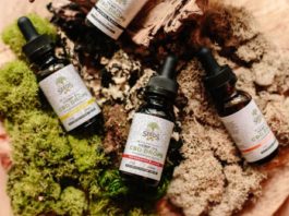 Exploring the Medical Cannabis Laws and Regulations in Texas