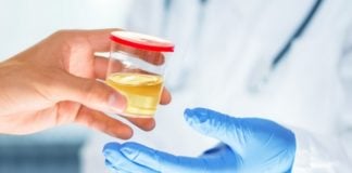How To Use Synthetic Urine For A Drug Test