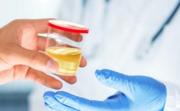 How To Use Synthetic Urine For A Drug Test