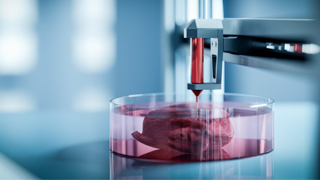 3d-printed-organs