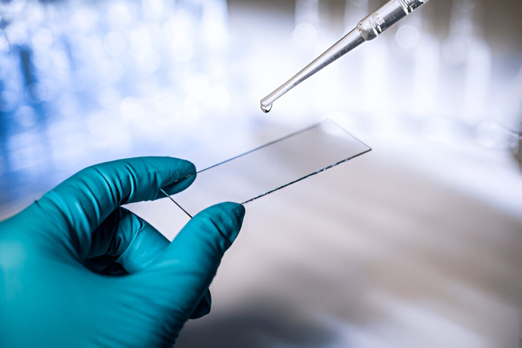 steptodown.com749183